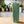 Stainless steel 20 oz tumbler with a vertical fern leaf pattern in light and dark green tones.